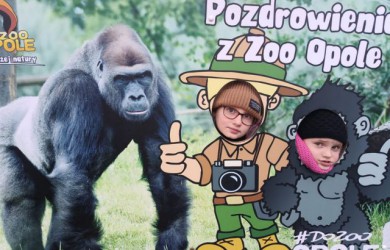 Mikołajki w ZOO